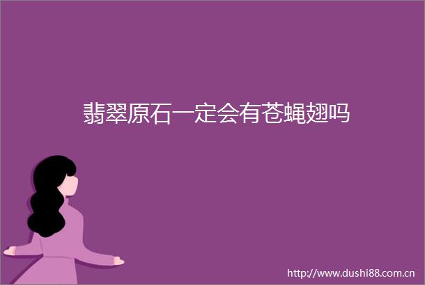 翡翠原石一定会有苍蝇翅吗