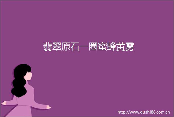 翡翠原石一圈蜜蜂黄雾