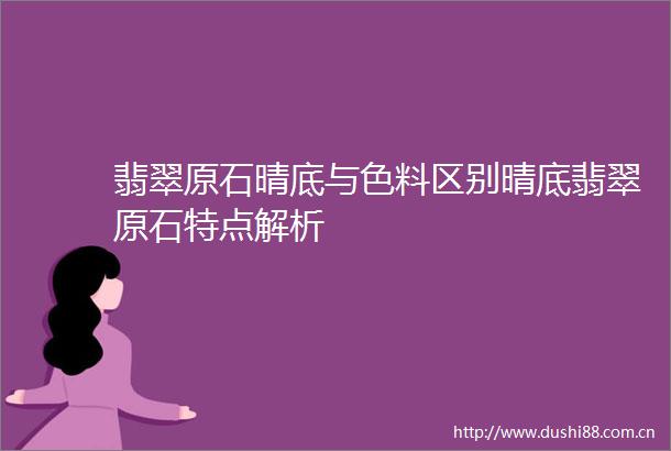 翡翠原石晴底与色料区别晴底翡翠原石特点解析