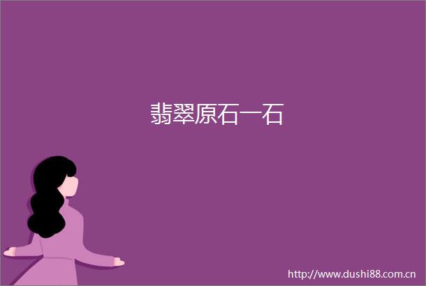 翡翠原石一石