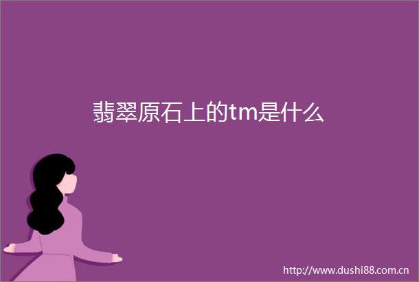 翡翠原石上的tm是什么