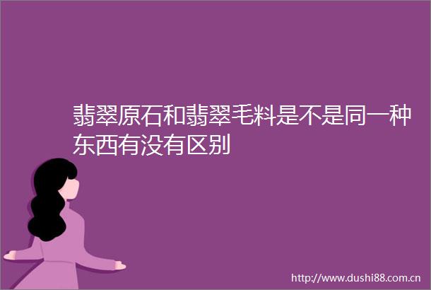 翡翠原石和翡翠毛料是不是同一种东西有没有区别