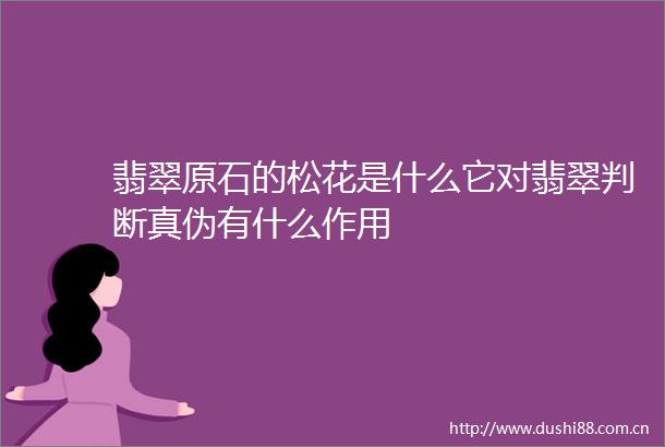 翡翠原石的松花是什么它对翡翠判断真伪有什么作用