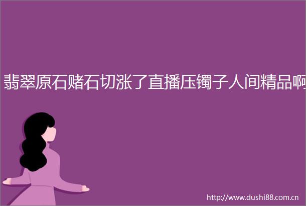 翡翠原石赌石切涨了直播压镯子人间精品啊