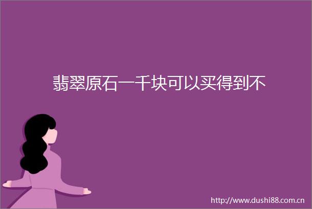 翡翠原石一千块可以买得到不