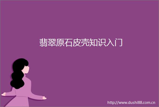翡翠原石皮壳知识入门