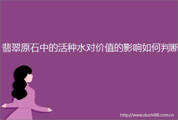 翡翠原石中的活种水对价值的影响如何判断
