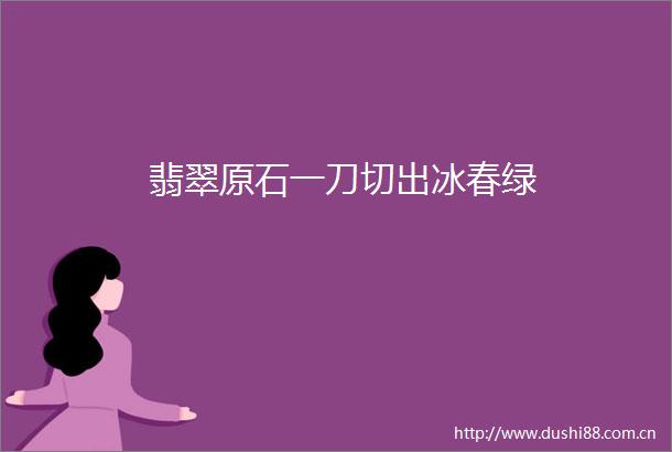 翡翠原石一刀切出冰春绿