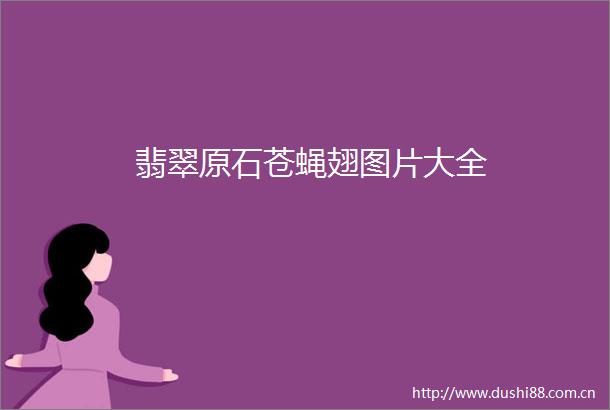 翡翠原石苍蝇翅图片大全