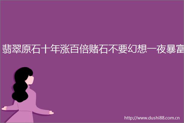 翡翠原石十年涨百倍赌石不要幻想一夜暴富