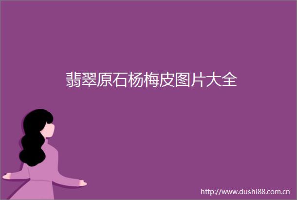 翡翠原石杨梅皮图片大全