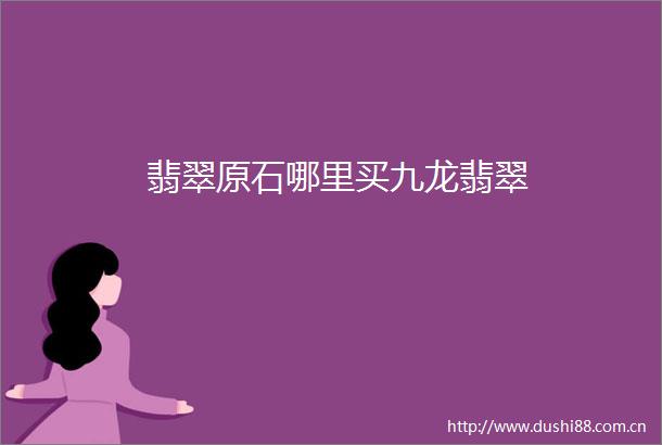 翡翠原石哪里买九龙翡翠