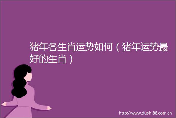 猪年各生肖运势如何（猪年运势最好的生肖）