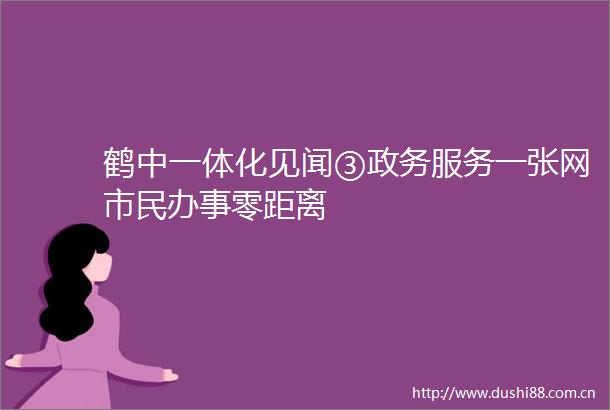 鹤中一体化见闻③政务服务一张网市民办事零距离