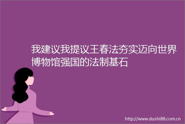 我建议我提议王春法夯实迈向世界博物馆强国的法制基石