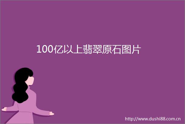 100亿以上翡翠原石图片