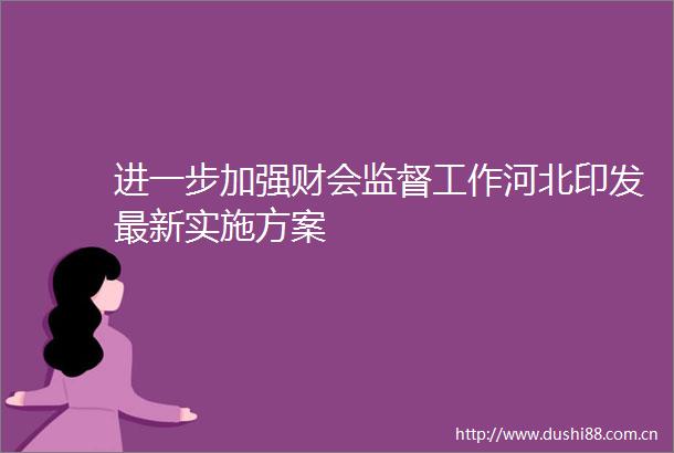 进一步加强财会监督工作河北印发最新实施方案