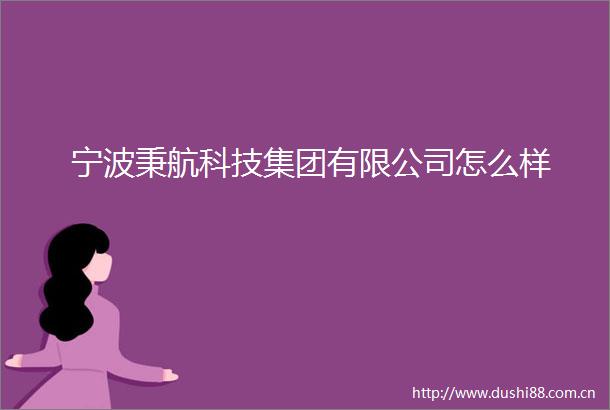 宁波秉航科技集团有限公司怎么样