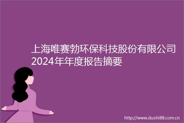 上海唯赛勃环保科技股份有限公司2024年年度报告摘要