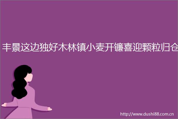 丰景这边独好木林镇小麦开镰喜迎颗粒归仓