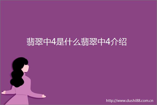 翡翠中4是什么翡翠中4介绍