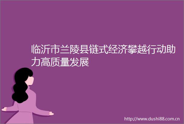 临沂市兰陵县链式经济攀越行动助力高质量发展