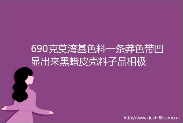 690克莫湾基色料一条莽色带凹显出来黑蜡皮壳料子品相极