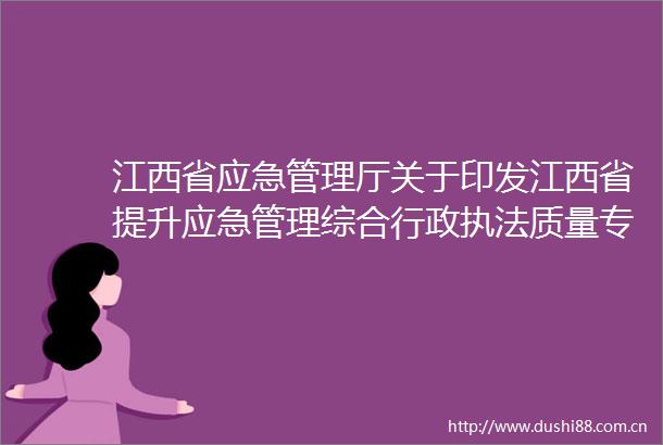 江西省应急管理厅关于印发江西省提升应急管理综合行政质量专项行动工作方案（20242025年）的通知