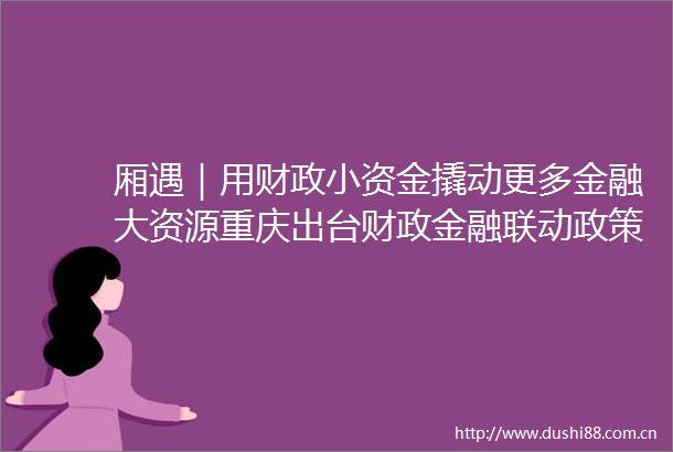 厢遇｜用财政小资金撬动更多金融大资源重庆出台财政金融联动政策