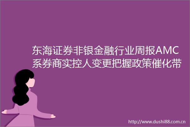 东海证券非银金融行业周报AMC系券商实控人变更把握政策催化带来的板块配置机遇250610