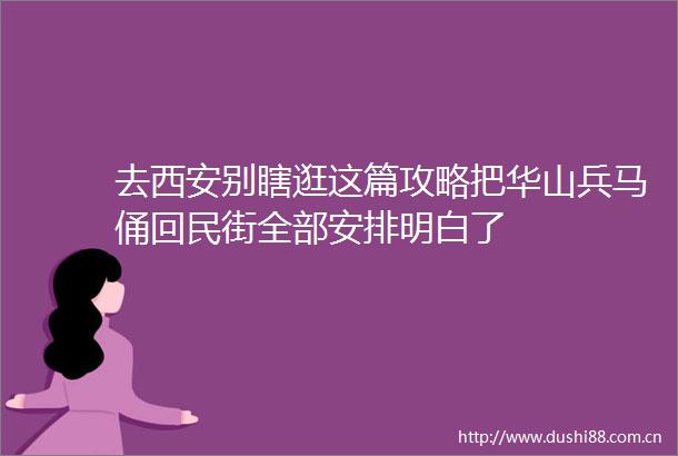 去西安别瞎逛这篇攻略把华山兵马俑回民街全部安排明白了