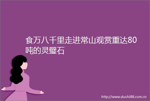 食万八千里走进常山观赏重达80吨的灵璧石