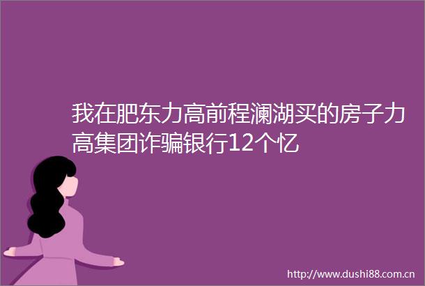 我在肥东力高前程澜湖买的房子力高集团诈银行12个忆