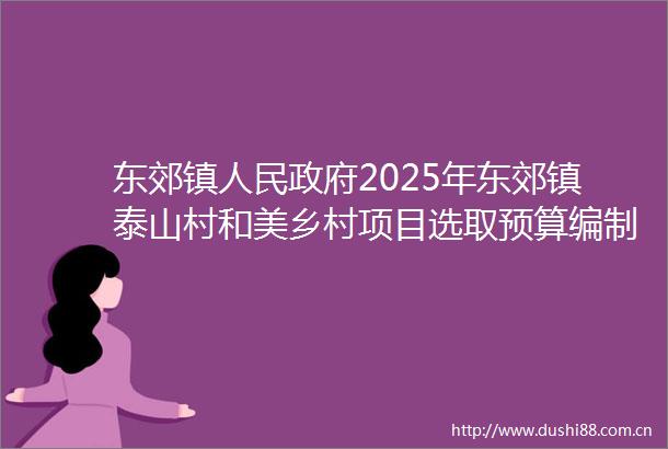 东郊镇2025年东郊镇泰山村和美乡村项目选取预算编制预算审核招标代理监理结算审核公司的询价公告
