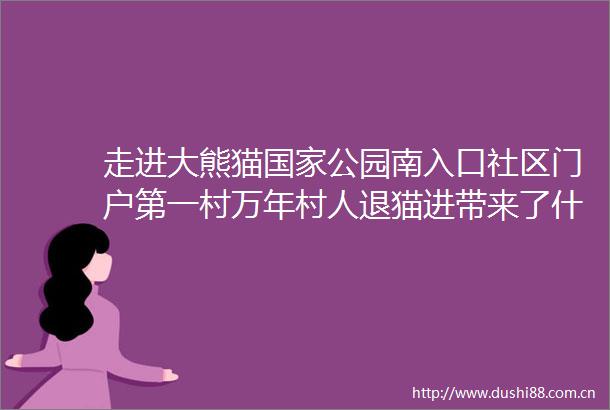 走进大熊猫公园南入口社区门户第一村万年村人退猫进带来了什么