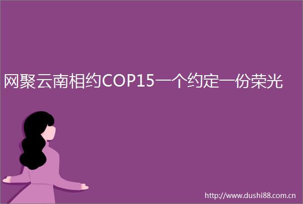 网聚云南相约COP15一个约定一份荣光