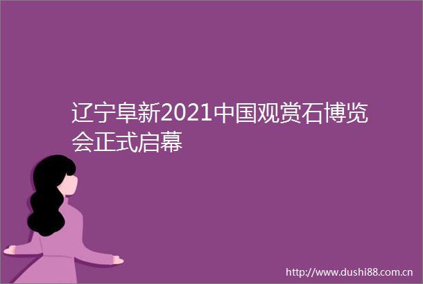 辽宁阜新2021观赏石博览会正式启幕