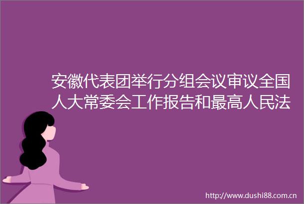 安徽代表团举行分组会议审议全国人大常委会工作报告和最高工作报告最高检察院工作报告