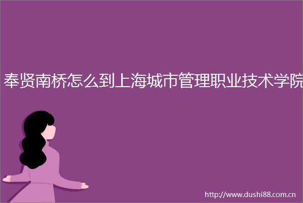 奉贤南桥怎么到上海城市管理职业技术学院