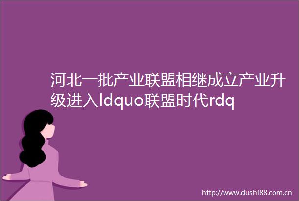 河北一批产业联盟相继成立产业升级进入ldquo联盟时代rdquo