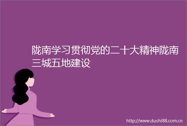 陇南学习贯彻党的二十大精神陇南三城五地建设