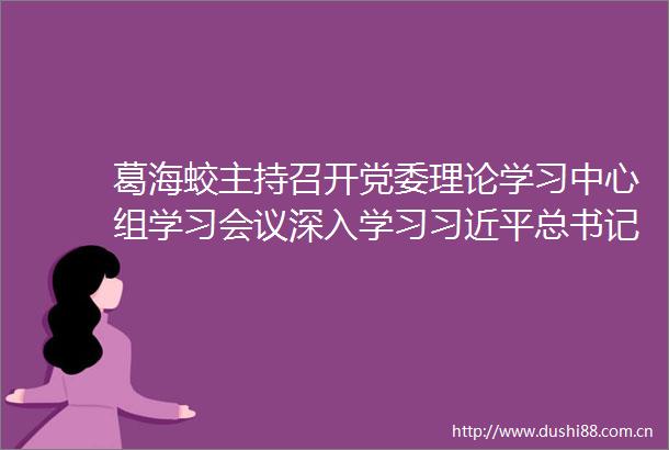 葛海蛟主持召开党委理论学习中心组学习会议深入学习总书记重要论述牢固树立和践行正确政绩观高质效服务实体经济