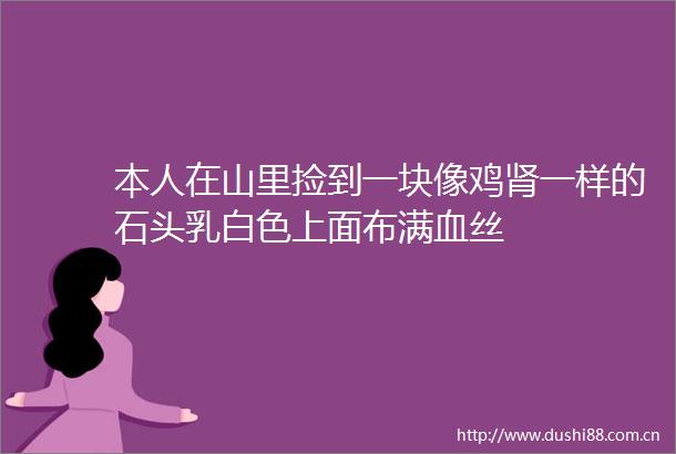 本人在山里捡到一块像鸡肾一样的石头乳白色上面布满血丝