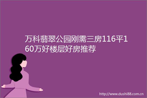 万科翡翠公园刚需三房116平160万好楼层好房推荐