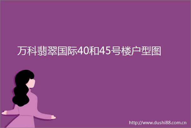 万科翡翠国际40和45号楼户型图