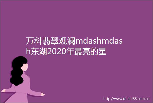 万科翡翠观澜mdashmdash东湖2020年最亮的星