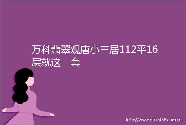 万科翡翠观唐居112平16层就这一套