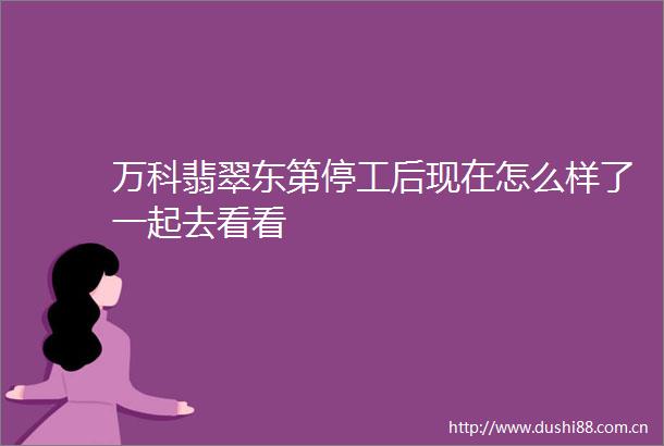 万科翡翠东第停工后现在怎么样了一起去看看