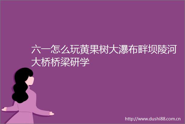 六一怎么玩黄果树大瀑布畔坝陵河大桥桥梁研学