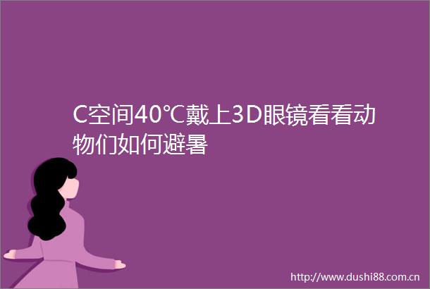 C空间40℃戴上3D眼镜看看动物们如何避暑